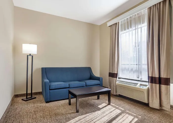 Comfort Suites Old Town Spring